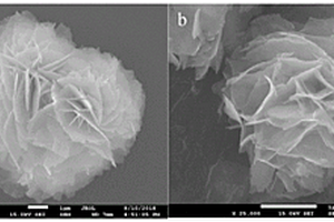 g-C<sub>3</sub>N<sub>4</sub>/BiOI-pDA@PVDF光催化膜的仿生构建方法及其用途