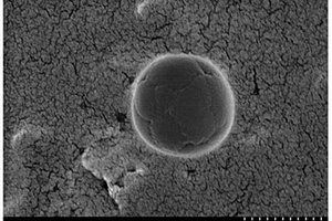胺化交联型AA/MA/EA接枝黄原酸酯化木薯淀粉磁性印迹微球的制备方法