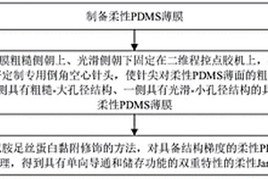具有双重特性的柔性Janus多孔表面的制备方法及其应用