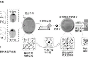 高强度纳米纤维素/海藻酸复合水凝胶的制备方法