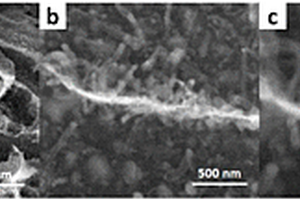 少层碳化钛原位生长氮掺杂碳纳米管三维复合材料的制备方法