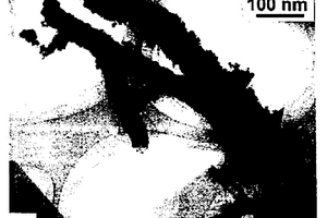 碳纳米管负载二氧化铈纳米颗粒及其制备方法