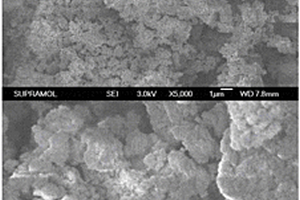用于烟气脱硝的抗H<sub>2</sub>O、SO<sub>2</sub>和粉尘毒化催化剂及其制备方法