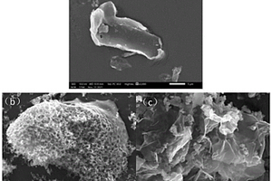 氮掺杂生物炭及其制备方法和应用