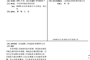 在金属板上形成超亲水薄膜的方法
