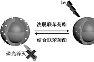 检测长江水样品中联苯菊酯的磷光传感器制备方法