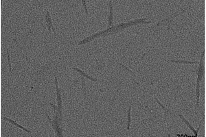 高性能生物基复合膜及其制备方法