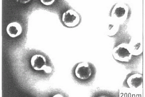 多西紫杉醇恶性肿瘤靶向微球及其制备方法与应用