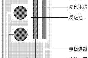 基于分子印迹检测瘦肉精多组分的传感器