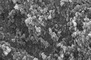 可同时吸附和检测三价铬离子并具有光催化活性的纳米功能材料的制备方法