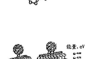 用富勒烯官能化的碳纳米管