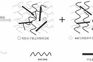 重组胶原蛋白水凝胶3D打印墨水及其应用