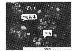 镁合金基复合材料及其制备方法