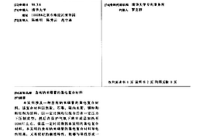 含有纳米碳管的集电复合材料