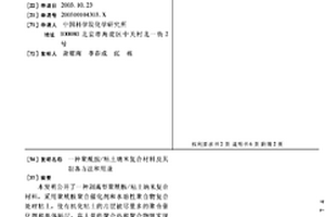 聚酰胺/粘土纳米复合材料及其制备方法和用途
