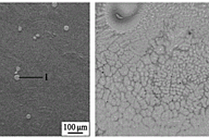 Ti<Sub>2</Sub>AlNb颗粒增塑的TiAl基复合材料及制备方法