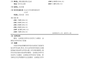 橡胶-金属复合材料以及采用了该橡胶-金属复合材料的充气轮胎