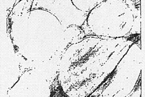 有机-无机复合体和高分子复合材料及其制造方法
