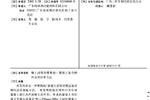 稀土改性的聚酰胺/蒙脱土复合材料及其制备方法