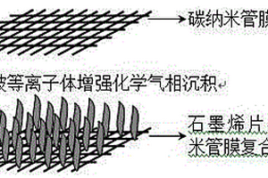 石墨烯片-碳纳米管膜柔性复合材料及制备方法与应用