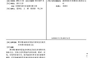 聚合物/碳纳米管复合材料及其原位本体聚合的制备方法