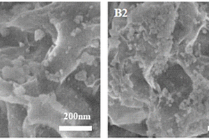 海海绵状C/Ni(HCO<sub>3</sub>)<sub>2</sub>-Ni复合材料及其制备方法