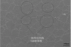 两级网状结构Ti基复合材料及其制备方法