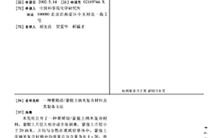 聚烯烃/蒙脱土纳米复合材料及其制备方法