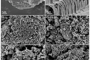 新型TiO<Sub>2</Sub>/MXene复合材料的制备方法