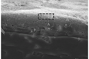 Ti<Sub>3</Sub>C<Sub>2</Sub>T<Sub>x</Sub>复合材料及其制备方法、SERS基底、呋喃妥因和氧氟沙星的检测方法