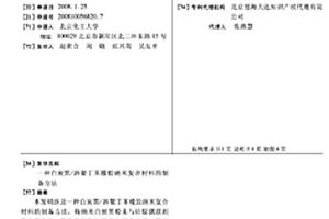 白炭黑/溶聚丁苯橡胶纳米复合材料的制备方法