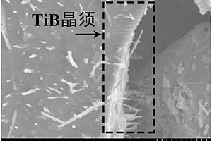 定向排布TiB晶须增强钛基复合材料的制备方法