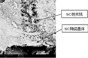 SiC纳米线增强SiC陶瓷基复合材料及其制备方法
