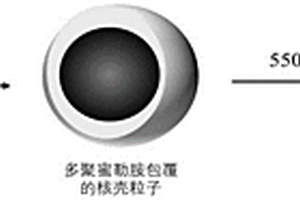 无机-无机核壳粒子及其制备方法和应用、高性能聚合物基复合材料