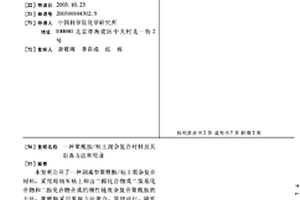 聚酰胺/粘土混杂复合材料及其制备方法和用途
