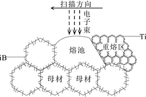 TiBw/TC<sub>4</sub>复合材料表面纳米重熔层及其制备方法