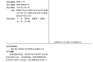 改性TIC/TI6AL4V复合材料及其制备方法
