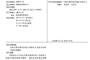包括含聚合物改性粘土的纳米尺度复合材料的调色剂颗粒