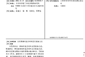 自润滑纳米复合材料及其制备方法