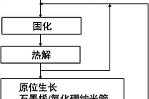 PIP结合原位生长石墨烯/氮化硼纳米管陶瓷基复合材料致密化方法