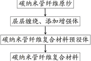 碳纳米管纤维复合材料及其制备方法