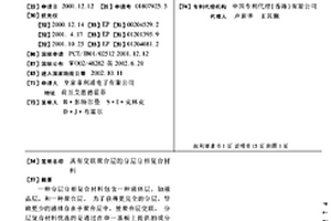 具有交联聚合层的分层分相复合材料