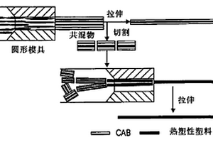 热塑性聚合物微纤维、纳米纤维以及复合材料