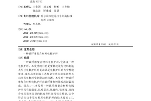 碳纤维复合材料电机护环