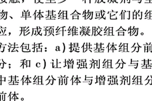 复合材料前体和复合材料,它们的制造方法和用途