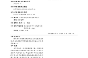 纳米物体或纳米结构的胶凝冻干胶囊或团聚体,具有包括其的聚合物基质的纳米复合材料,及其制备方法