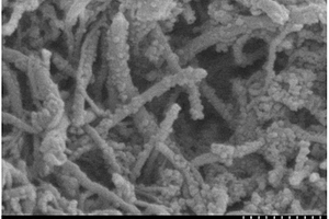 核壳结构g‑C<sub>3</sub>N<sub>4</sub>/MCNTs/BiOI复合材料的制备方法