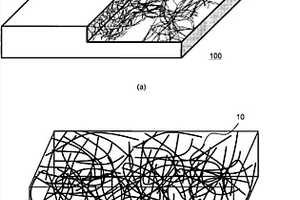 碳纳米管弹性体复合材料、使用其的密封件材料及密封材料、以及碳纳米管弹性体复合材料的制造方法