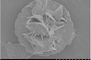 g‑C<sub>3</sub>N<sub>4</sub>纳米颗粒/花状BiOI复合材料的制备方法