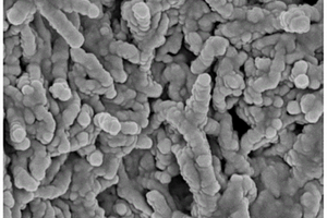 具有核壳结构特征的Ni<sub>6</sub>MnO<sub>8</sub>@碳纳米管复合材料及其制备方法和应用